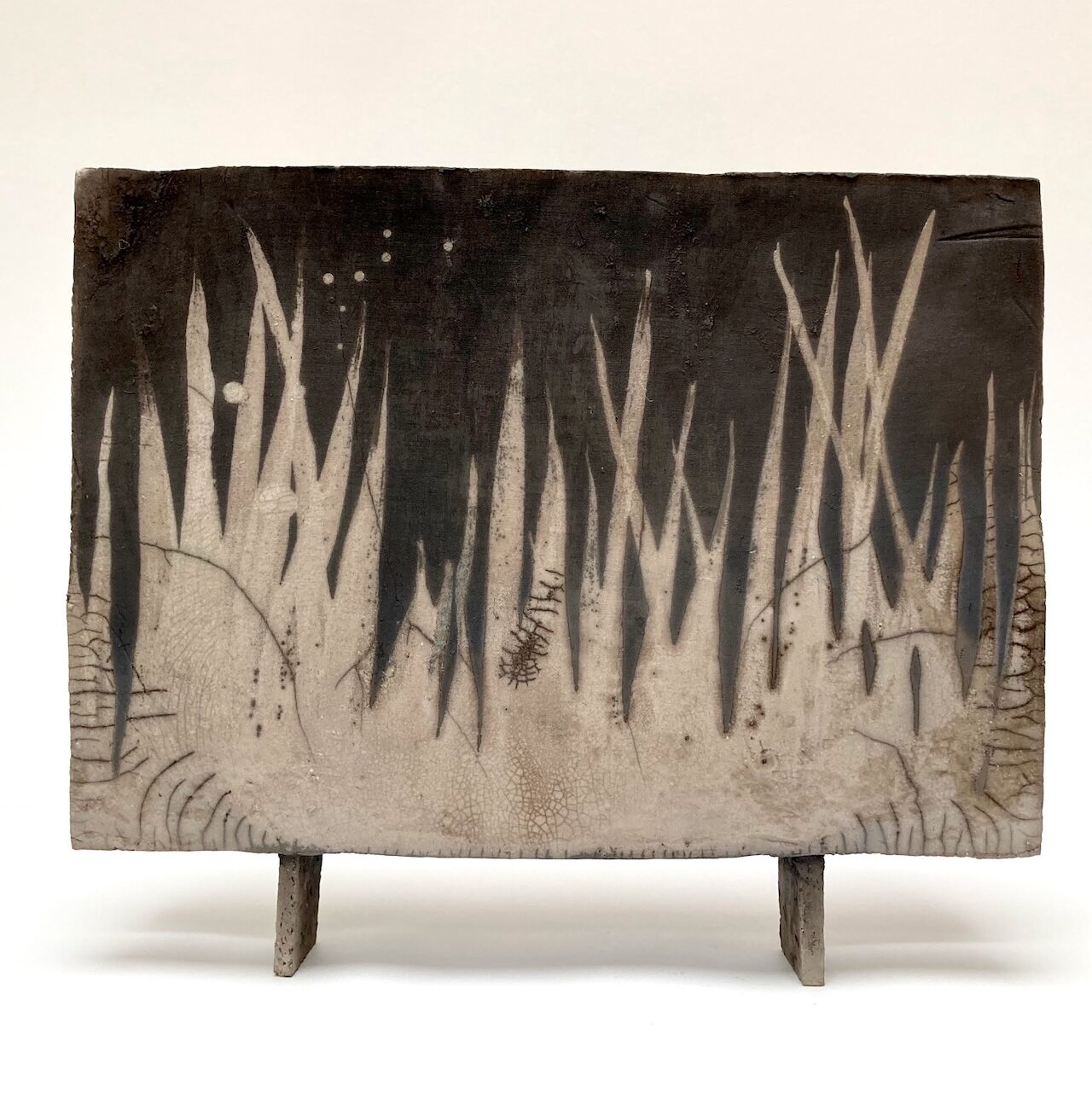 Platte raku gestookt vaas met riet afbeelding